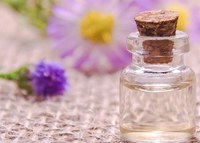 Herfstkleuren en geuren